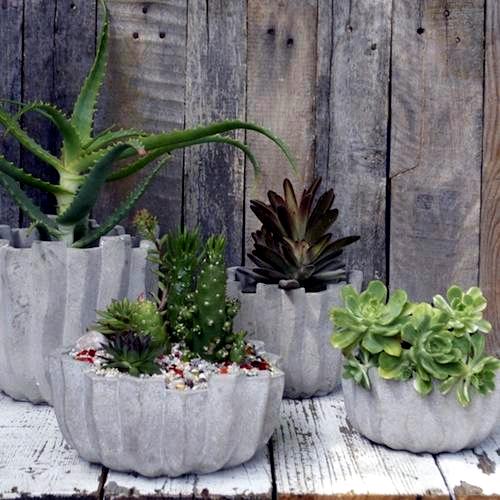 DIY flower pots made of concrete – 12 great projects for growers outside