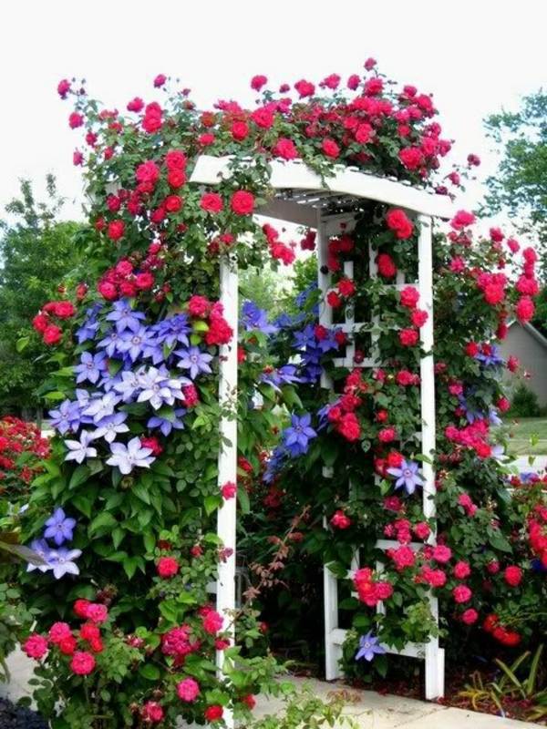 Gartengestaltung - Pergola Shade - Sun Protection in the garden and in the backyard