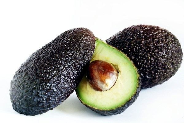 Avocado plant - how can you grow an avocado sapling