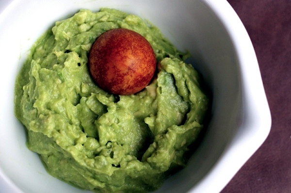 Avocado plant - how can you grow an avocado sapling