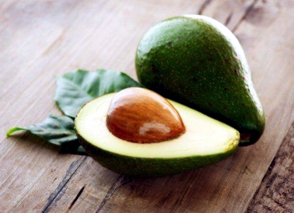 Avocado plant - how can you grow an avocado sapling