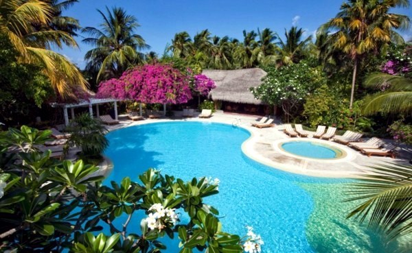 Luxurious Bungalows in the Maldives Luxurious Bungalows in the Maldives