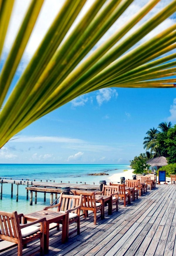 Luxurious Bungalows in the Maldives Luxurious Bungalows in the Maldives