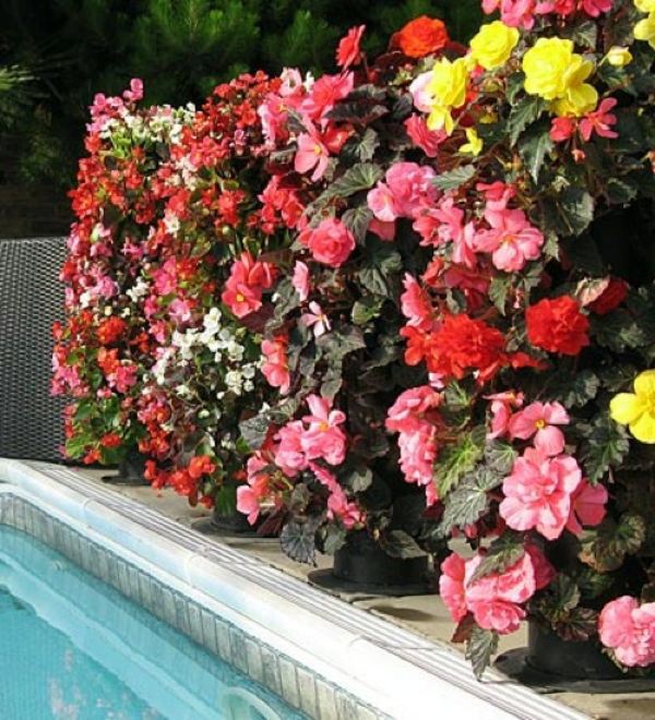 Cool flower towers - the absolute flowery garden design