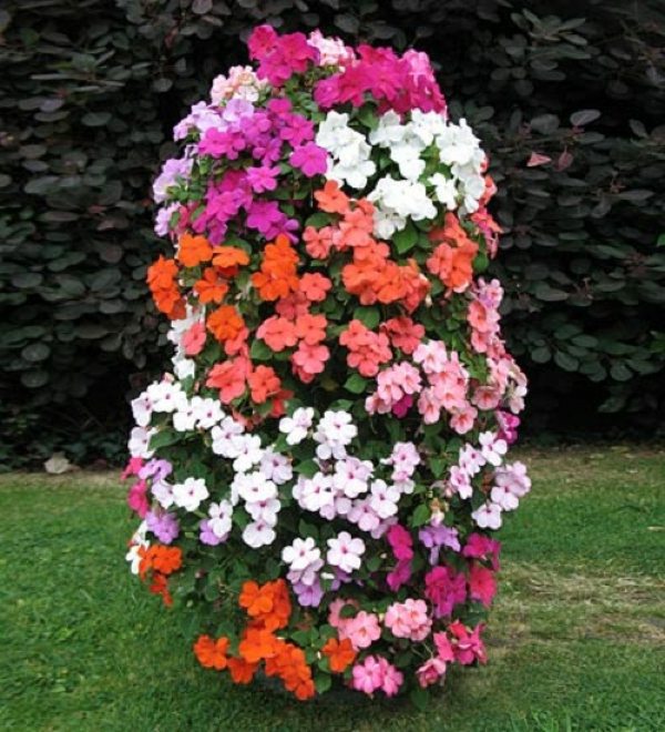 Cool flower towers - the absolute flowery garden design