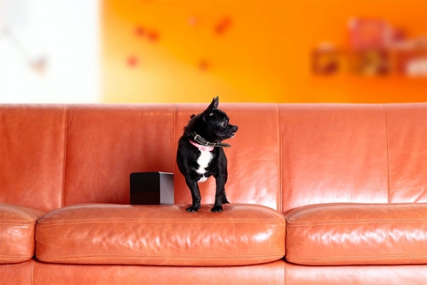 Play with your pet by your smartphone by PetCube