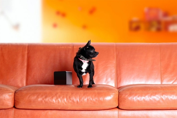 Play with your pet by your smartphone by PetCube Play with your pet by your smartphone by PetCube