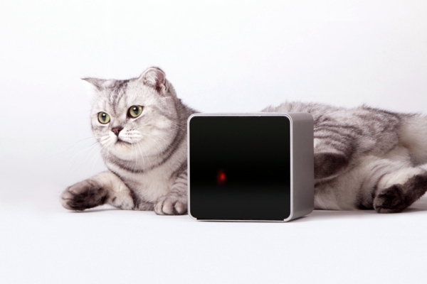 Play with your pet by your smartphone by PetCube Play with your pet by your smartphone by PetCube