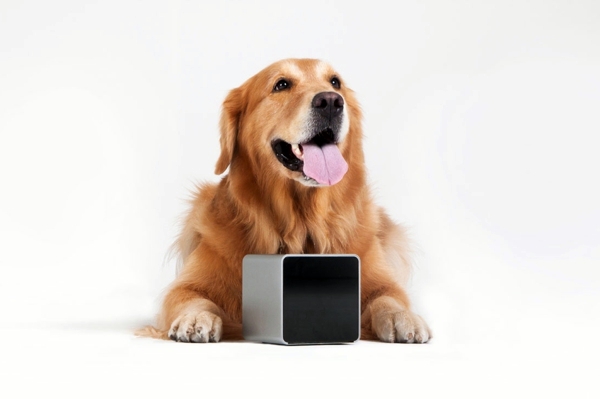 Play with your pet by your smartphone by PetCube Play with your pet by your smartphone by PetCube