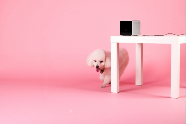 Play with your pet by your smartphone by PetCube Play with your pet by your smartphone by PetCube