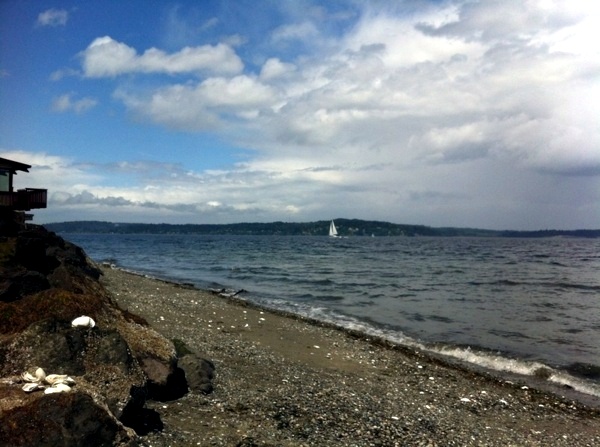 Modern architecture on the coast of Bainbridge Island