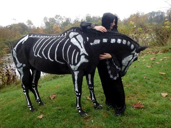 Halloween Costumes for Pets mounted