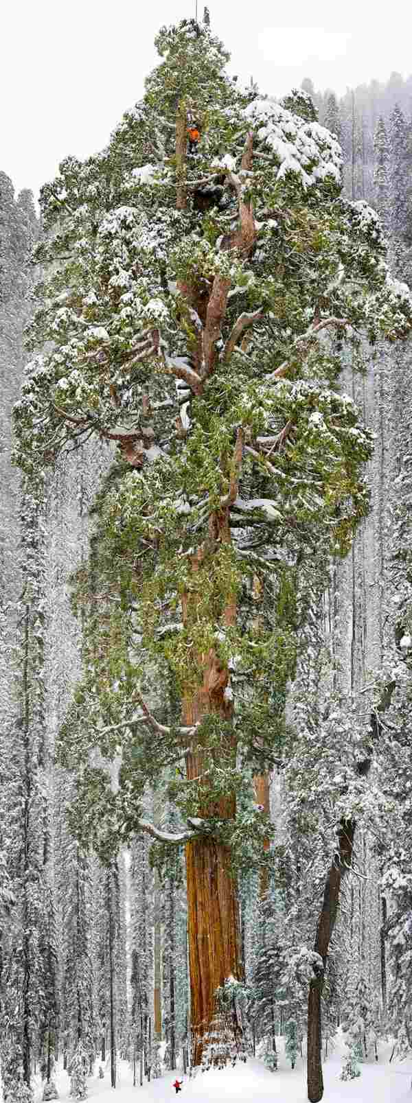 Small people, lost in the majesty of nature