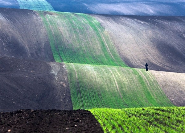 Small people, lost in the majesty of nature