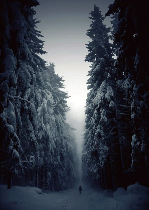 Small people, lost in the majesty of nature