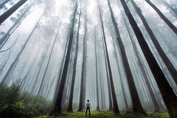 Small people, lost in the majesty of nature