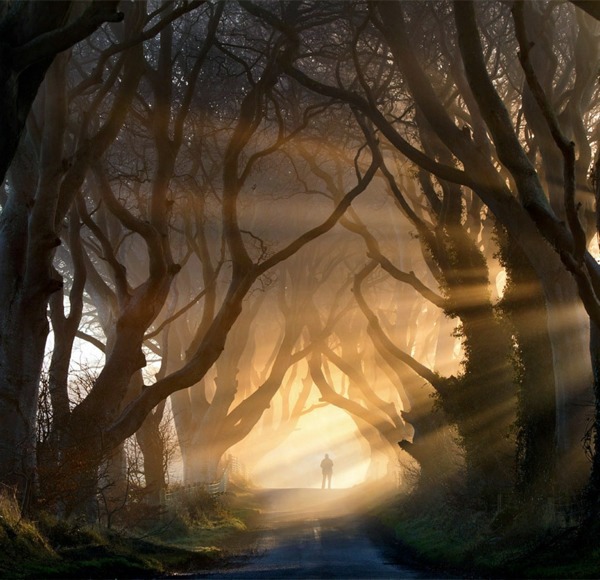 Small people, lost in the majesty of nature