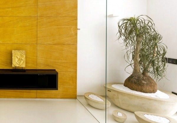Luxurious dream apartment with luxury fittings