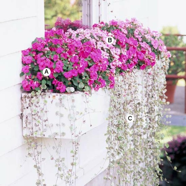 Gartengestaltung - Landscaping: Fresh Ideas for Window Planter