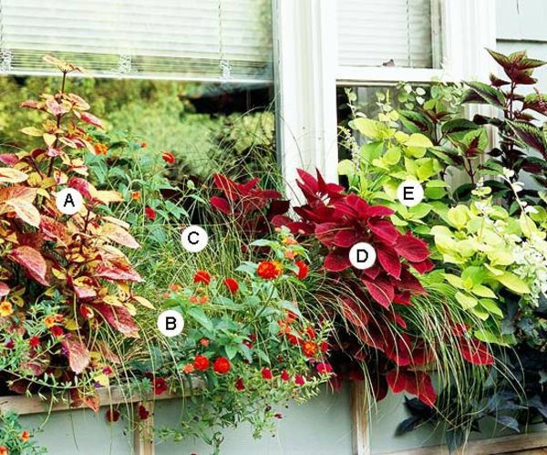 Landscaping: Fresh Ideas for Window Planter