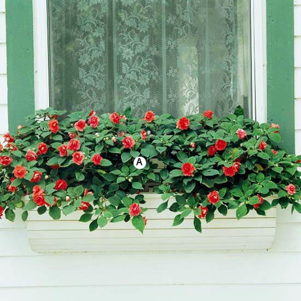Landscaping: Fresh Ideas for Window Planter
