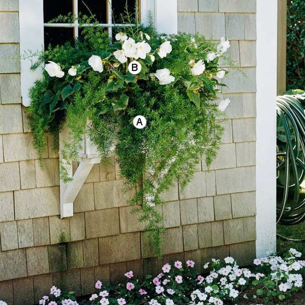 Landscaping: Fresh Ideas for Window Planter