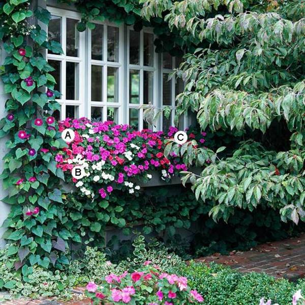 Landscaping: Fresh Ideas for Window Planter