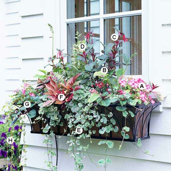 Landscaping: Fresh Ideas for Window Planter
