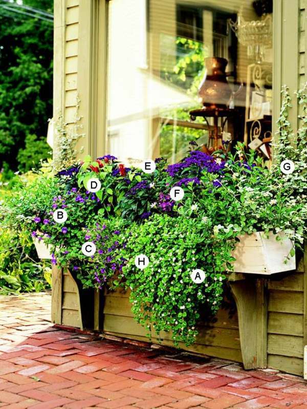 Landscaping: Fresh Ideas for Window Planter