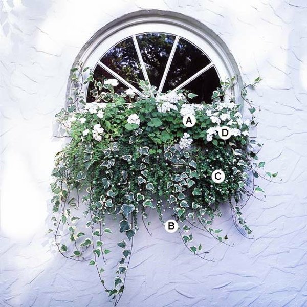 Landscaping: Fresh Ideas for Window Planter