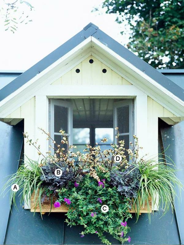 Landscaping: Fresh Ideas for Window Planter