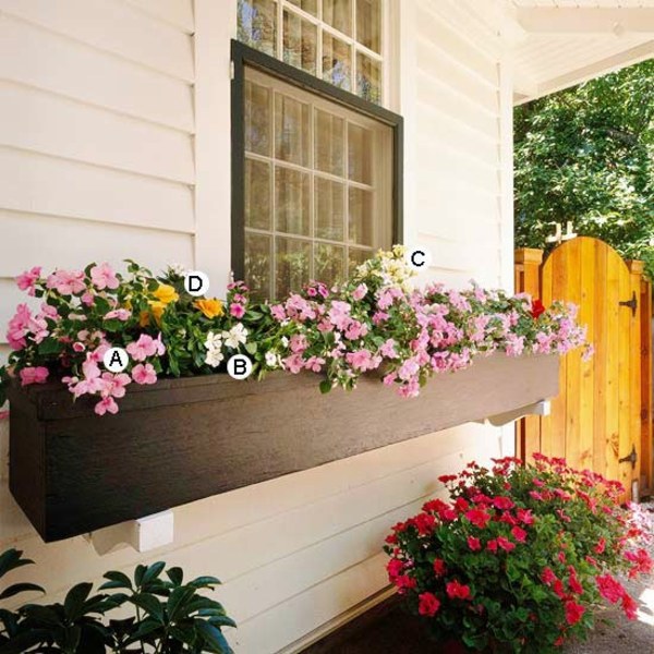 Landscaping: Fresh Ideas for Window Planter