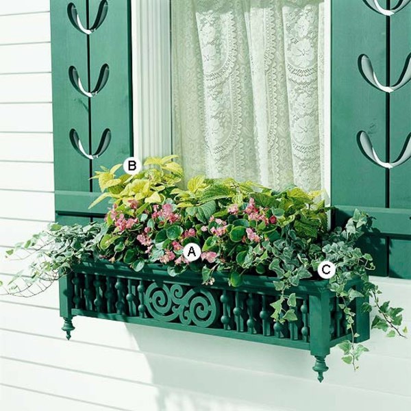 Landscaping: Fresh Ideas for Window Planter