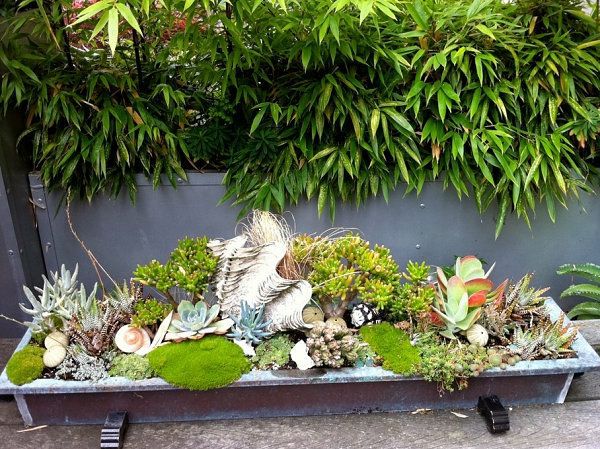 Unique garden ideas - creative decisions for your home