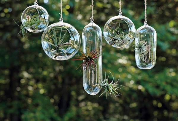Unique garden ideas - creative decisions for your home