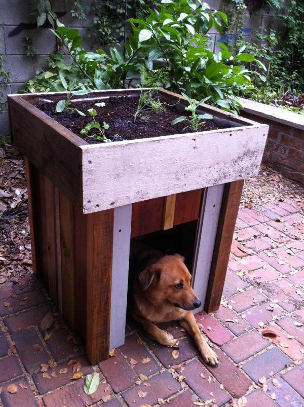 Unique garden ideas - creative decisions for your home Unique garden ideas - creative decisions for your home