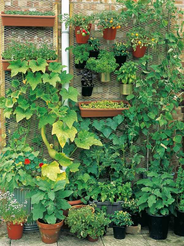 Unique garden ideas - creative decisions for your home Unique garden ideas - creative decisions for your home
