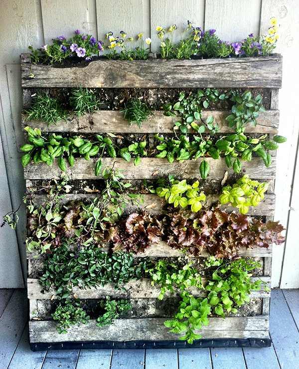 Unique garden ideas - creative decisions for your home Unique garden ideas - creative decisions for your home