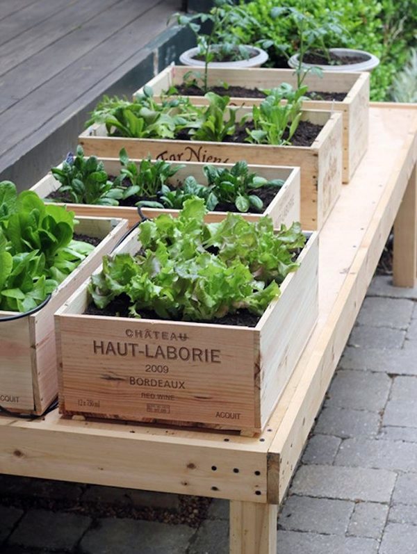 Unique garden ideas - creative decisions for your home Unique garden ideas - creative decisions for your home