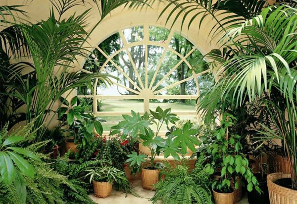 Balcony or terrace glass conservatory - Build on a beautiful winter garden Balcony or terrace glass conservatory - Build on a beautiful winter garden