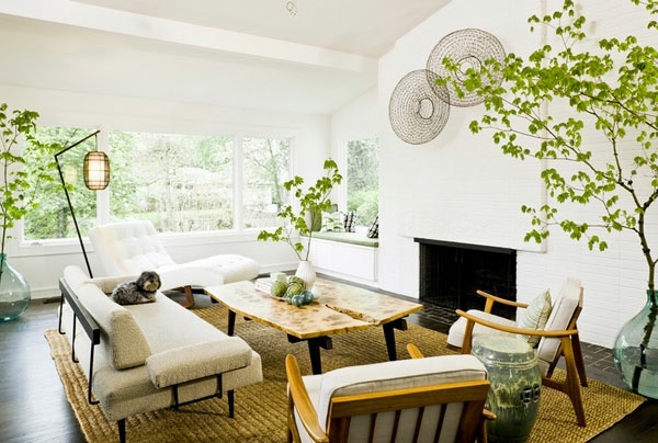 Hanging indoor plants and patio plants – hanging plants for the purpose ...