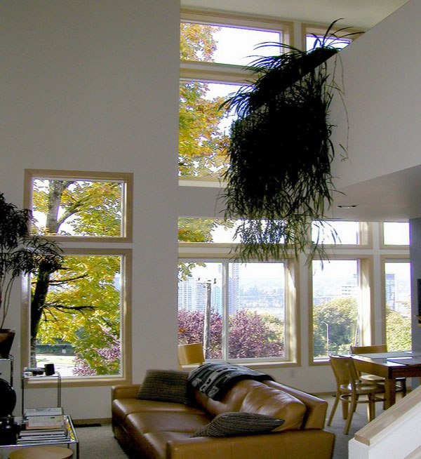 Hanging Indoor Plants And Patio Plants Hanging Plants For