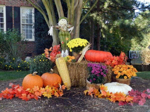 Cool Halloween decoration ideas for your home