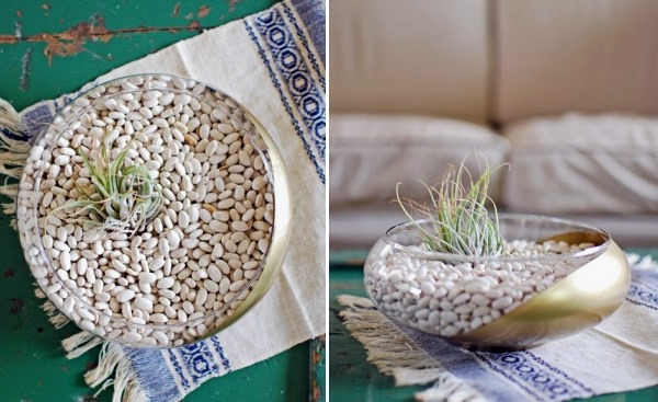 Gartengestaltung - Create a unique air plant terrarium