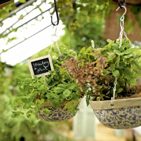 Great garden design with decoration of flower pots Great garden design with decoration of flower pots