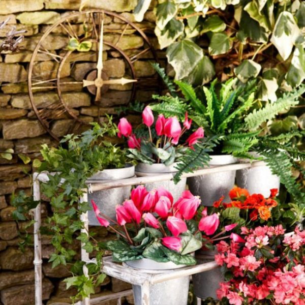 Great garden design with decoration of flower pots Great garden design with decoration of flower pots