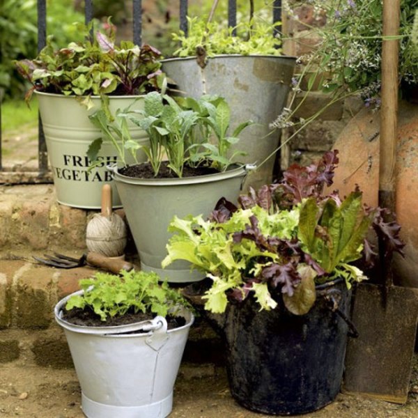 Great garden design with decoration of flower pots Great garden design with decoration of flower pots