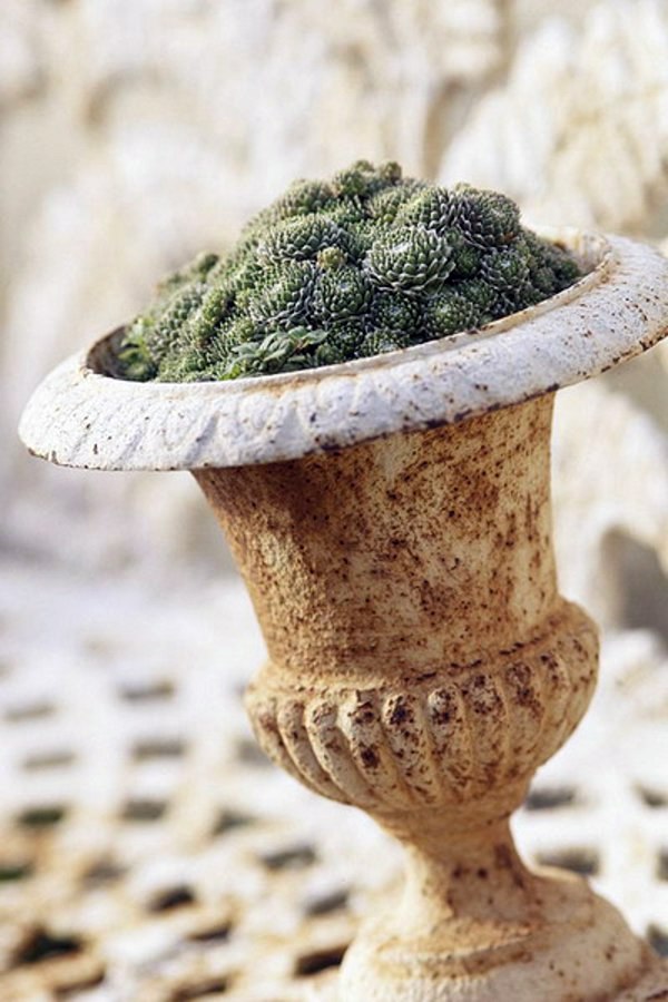 Great garden design with decoration of flower pots Great garden design with decoration of flower pots
