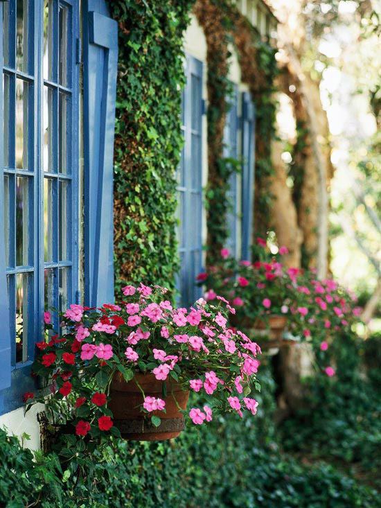Clever Landscaping - stylish transition from the front to the back yard