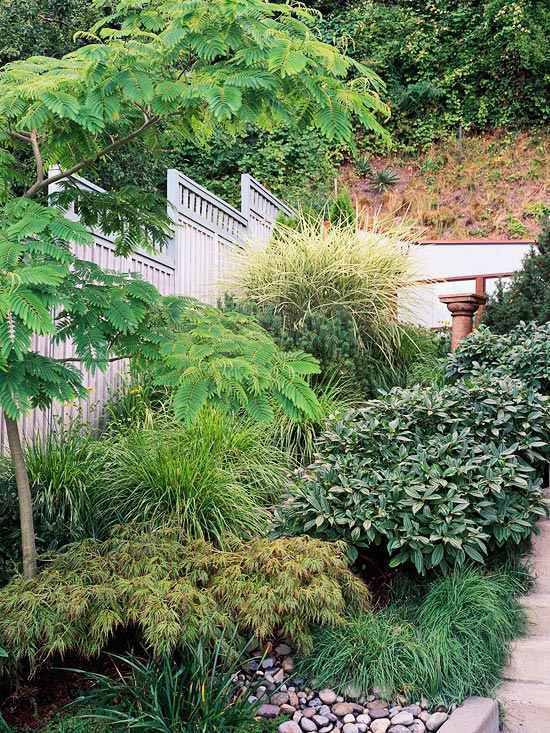Clever Landscaping - stylish transition from the front to the back yard